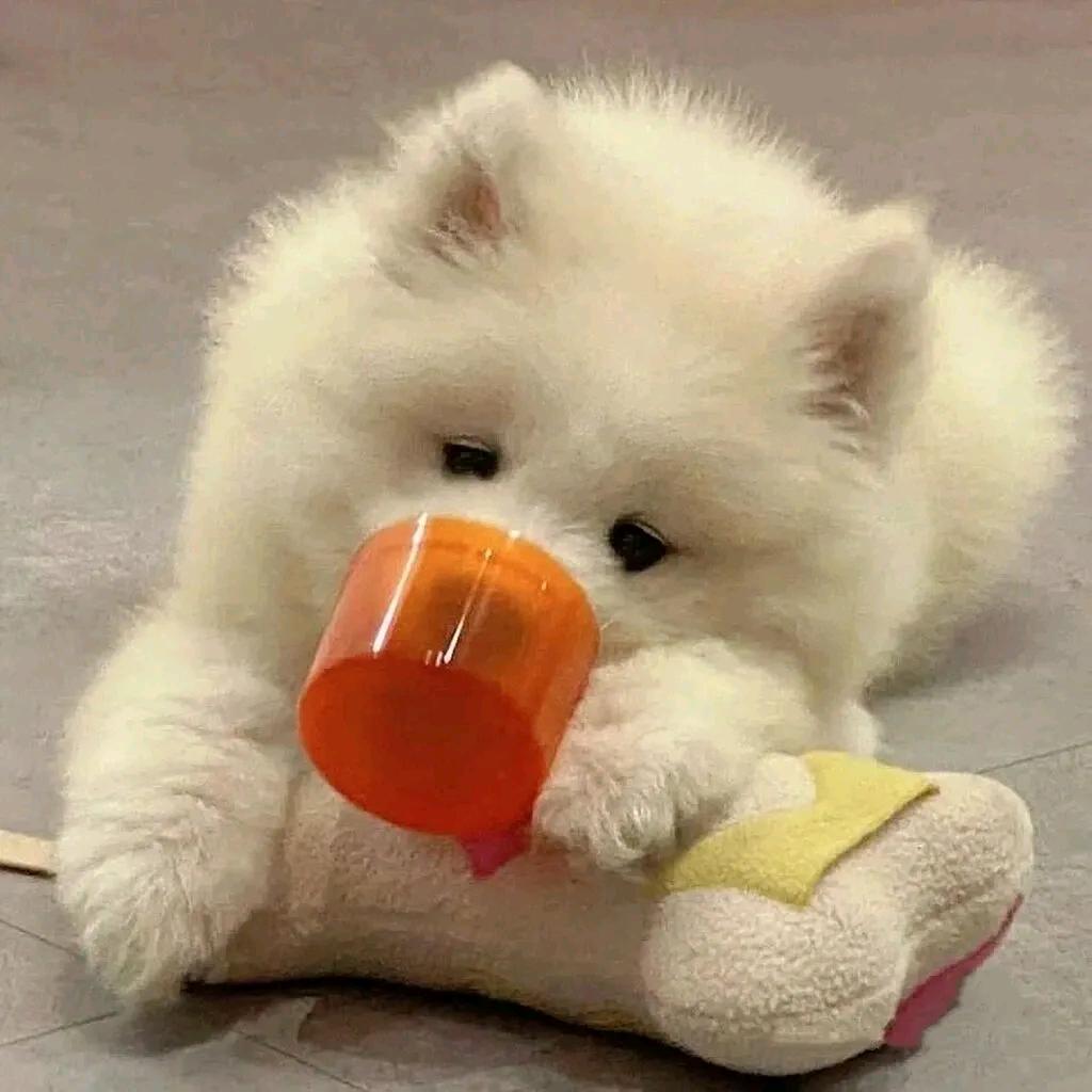 甜甜草莓酱