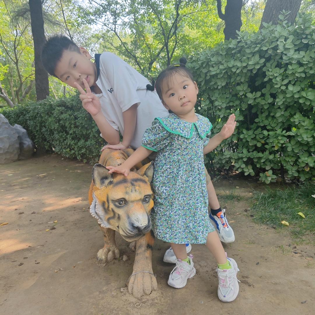 杰哥琳妹