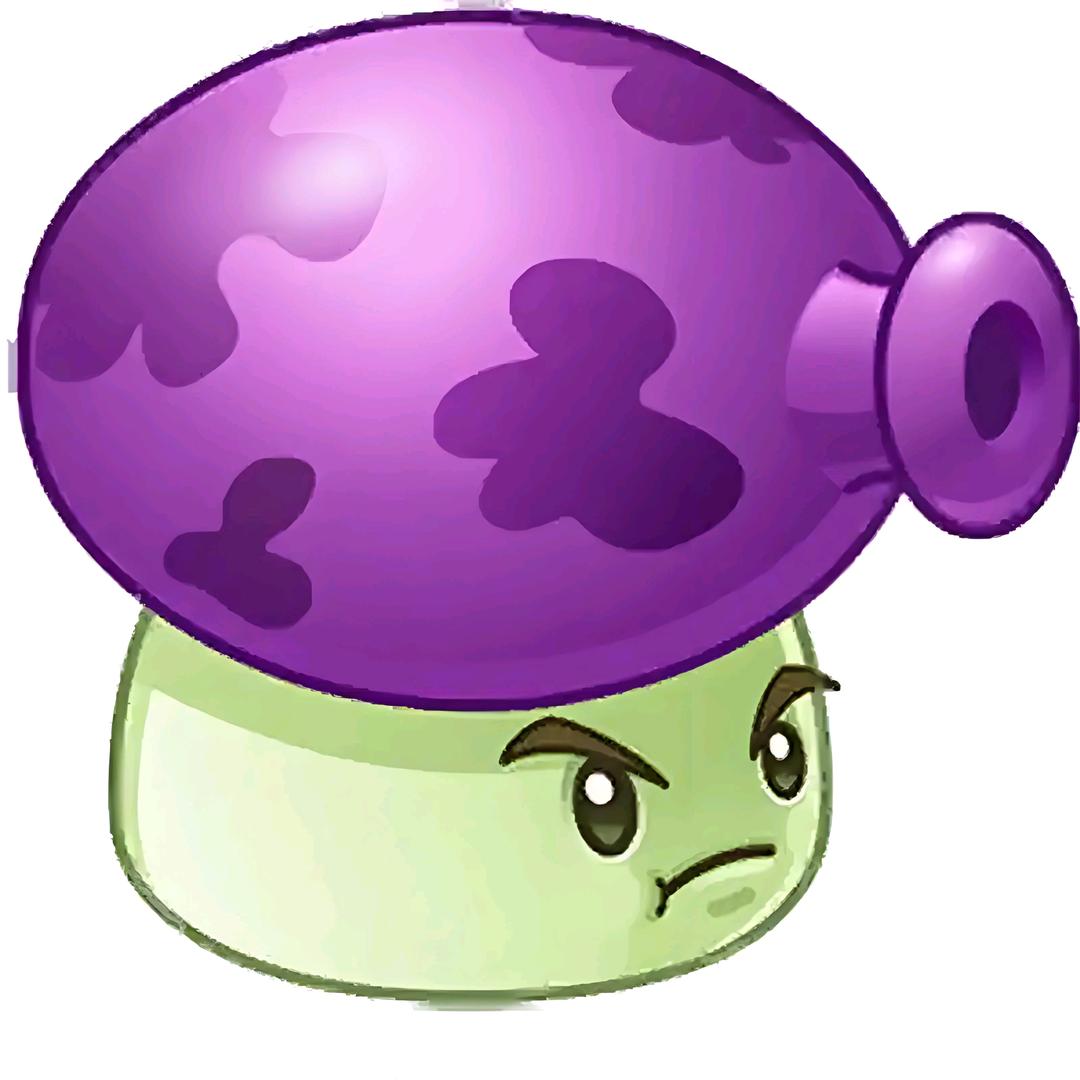 🟣🟣🟣🟣🟣🟣