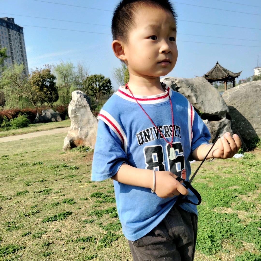 天若有情.