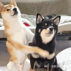 初薛者