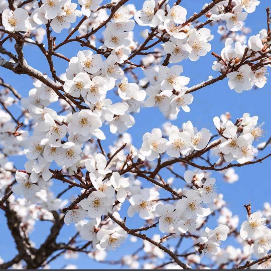 幸福快乐每一天