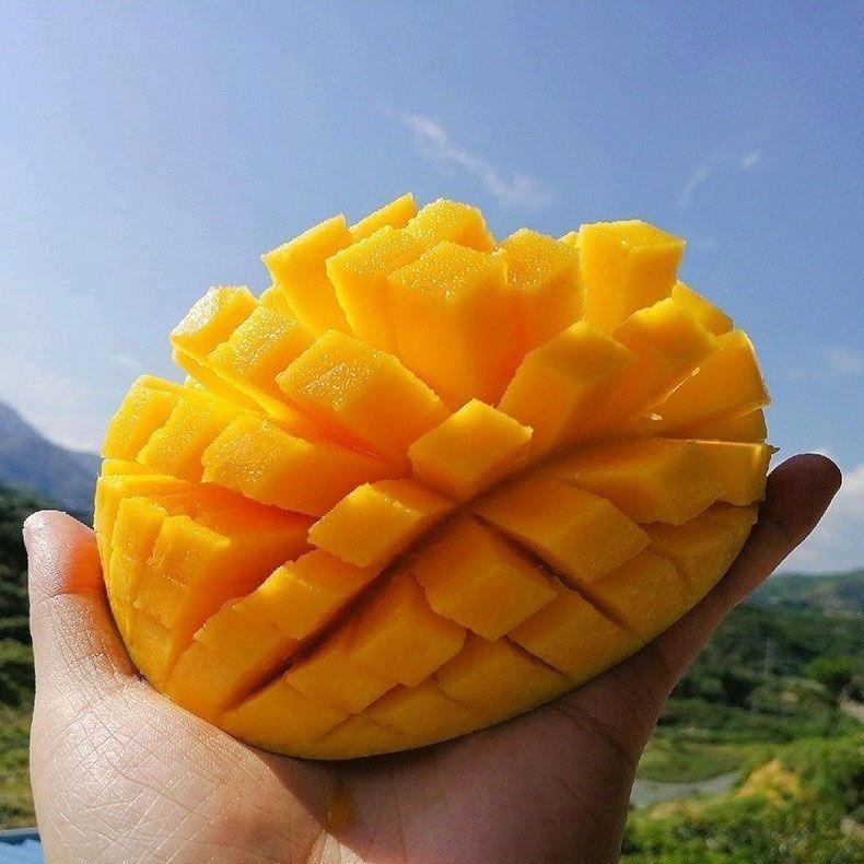 仙踪农场