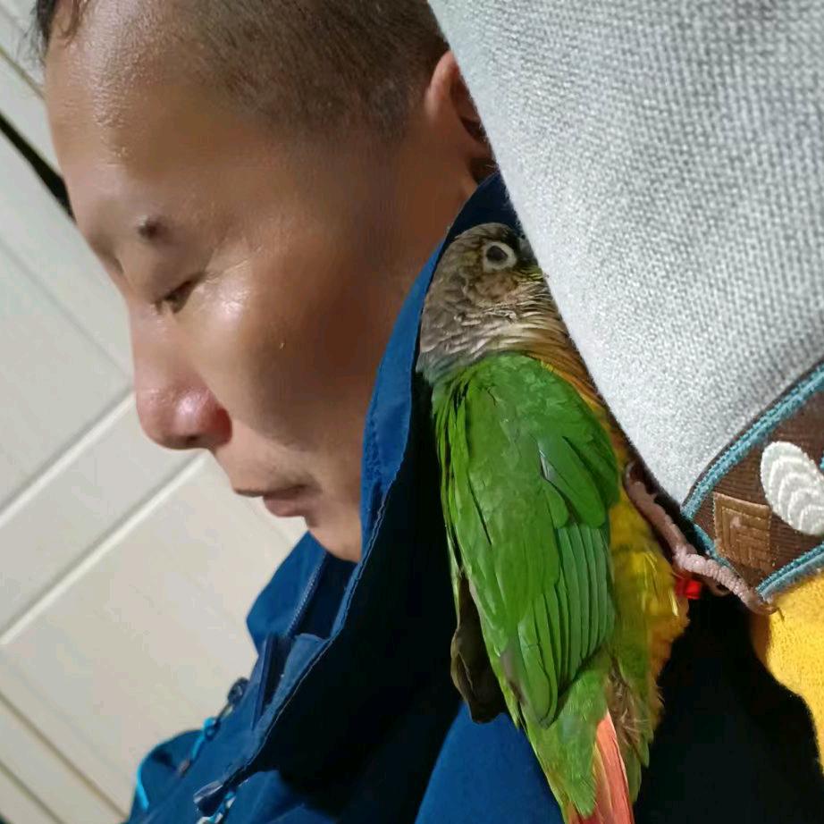 晓波📹