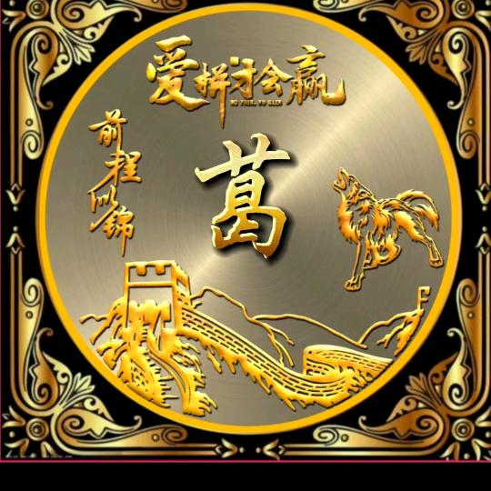 鹭鹰
