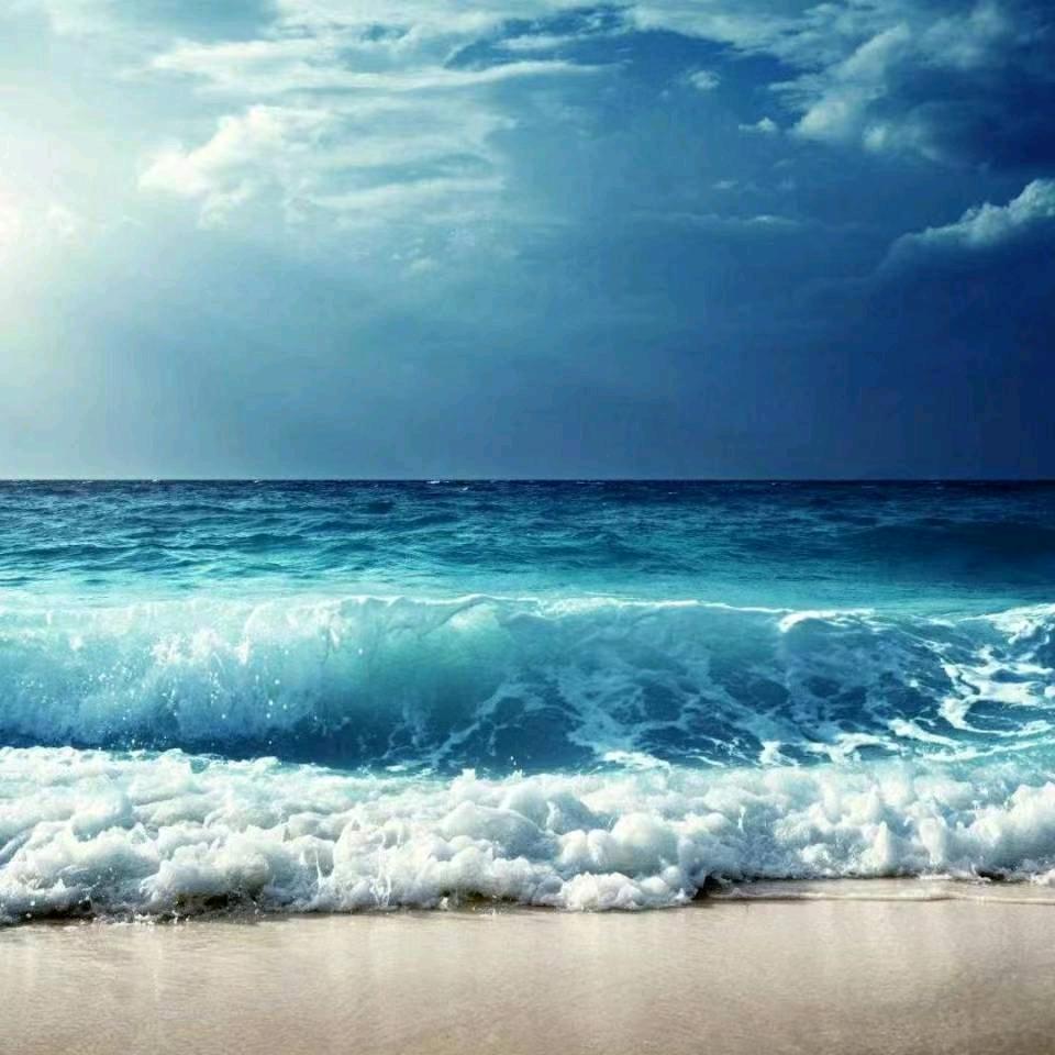 六月雪花雨（拒绝私聊）