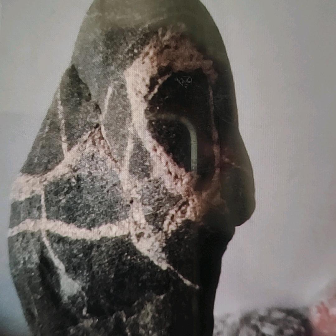 奋斗吧！小强！