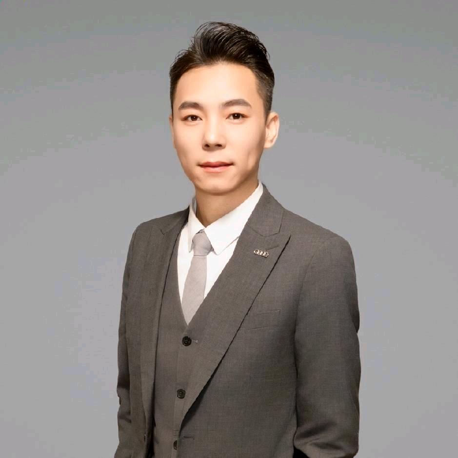 奥迪大龙