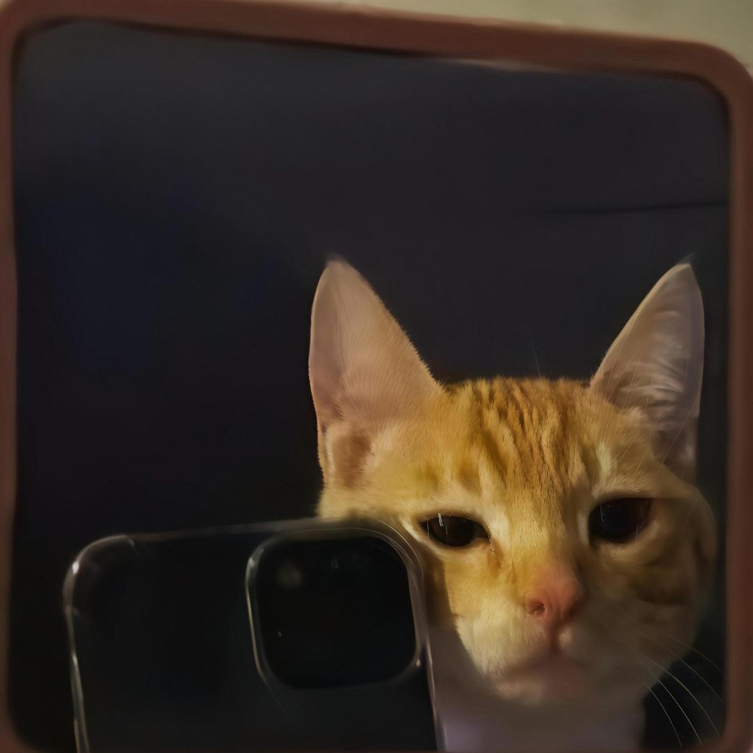 嘉定小杨精品房屋