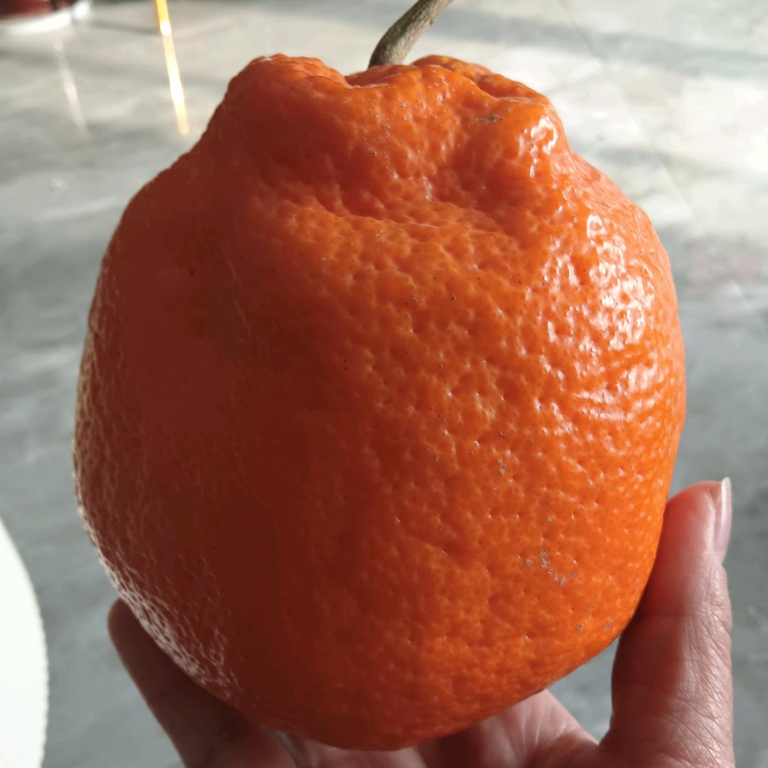 💄💄巴中华姐，