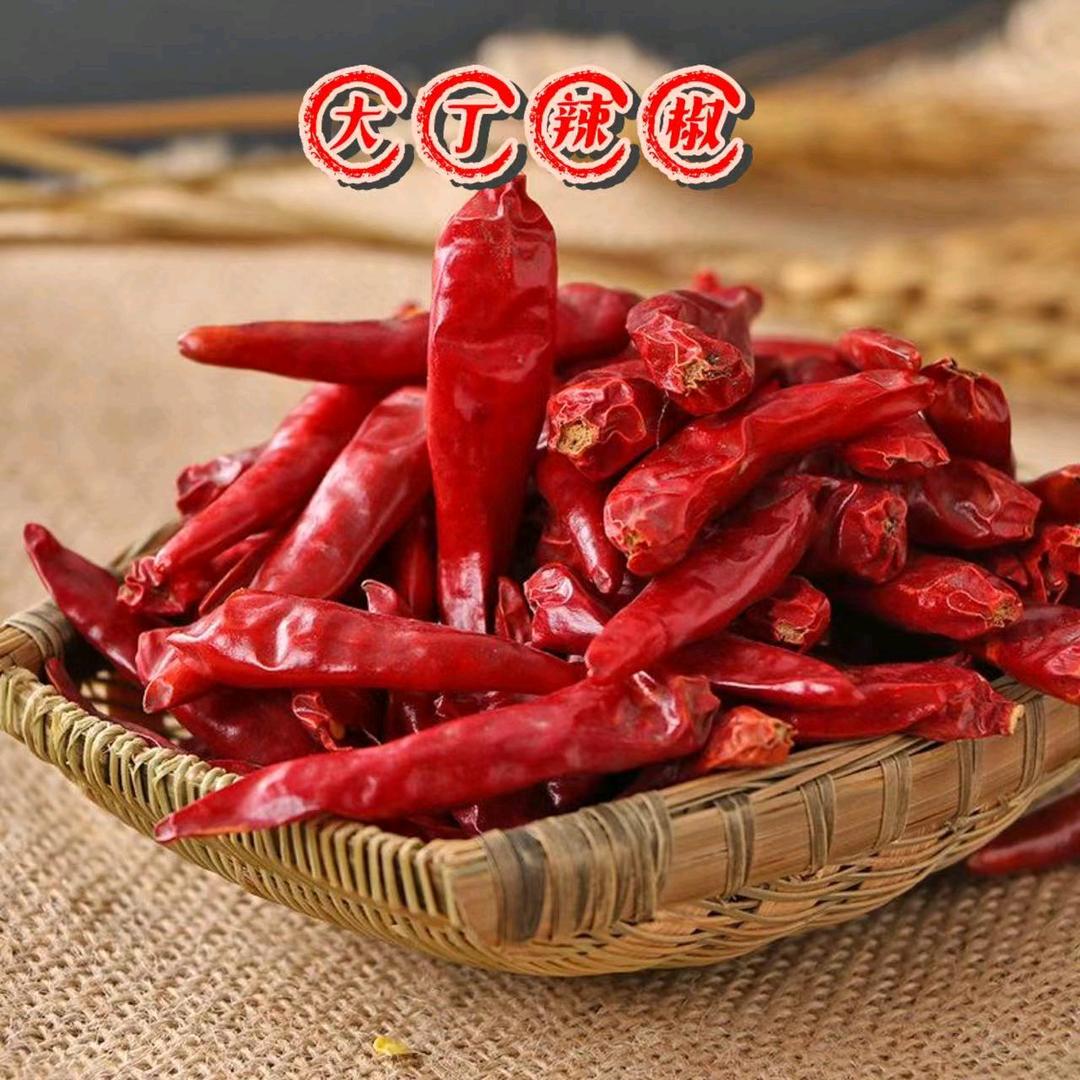 大丁辣椒