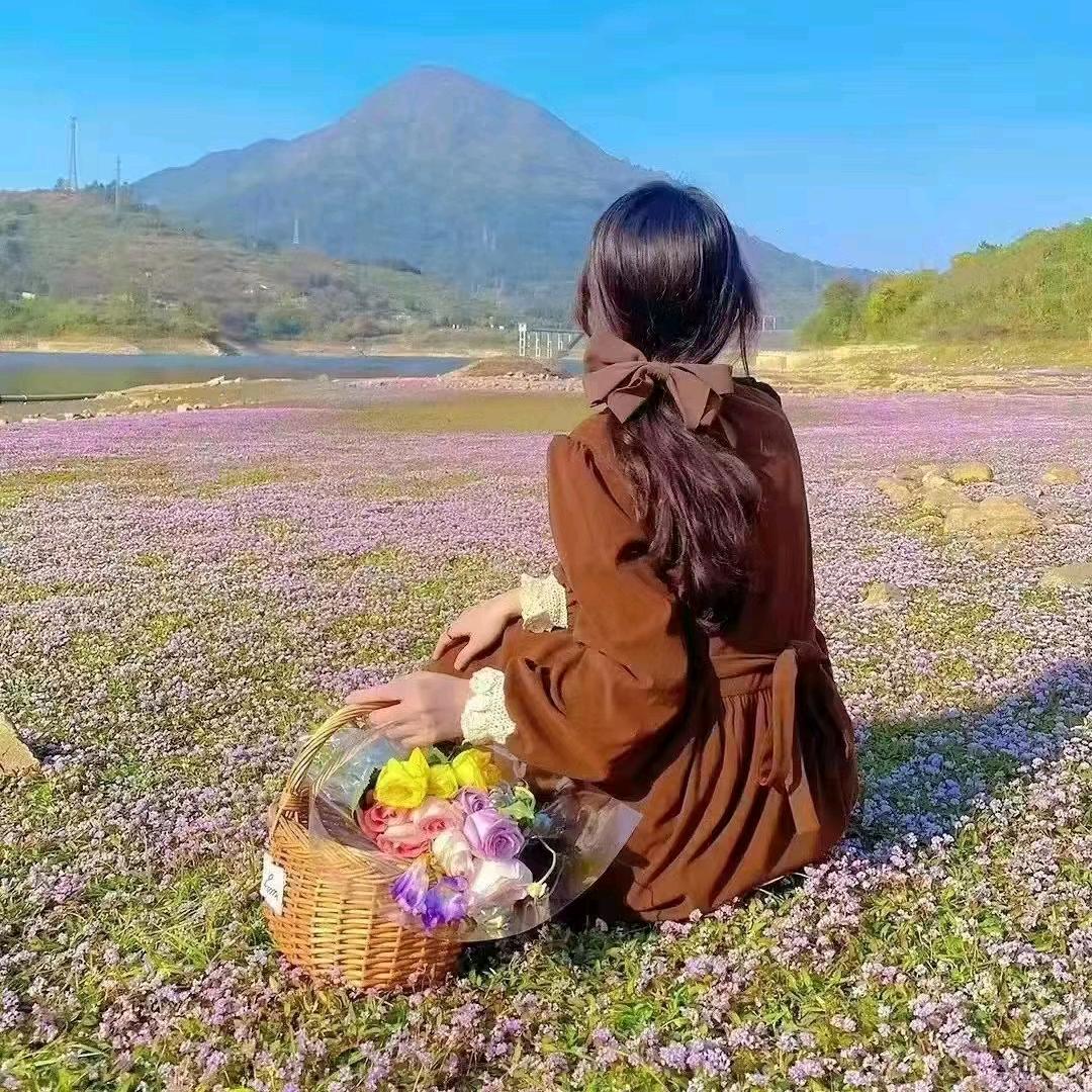 风轻云淡☁️
