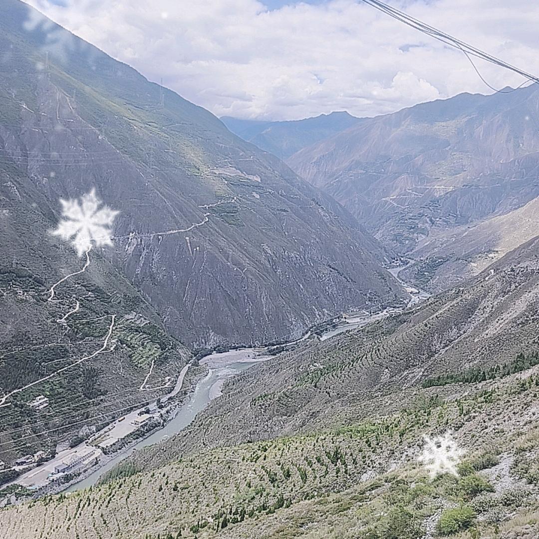 一头流浪的老牛