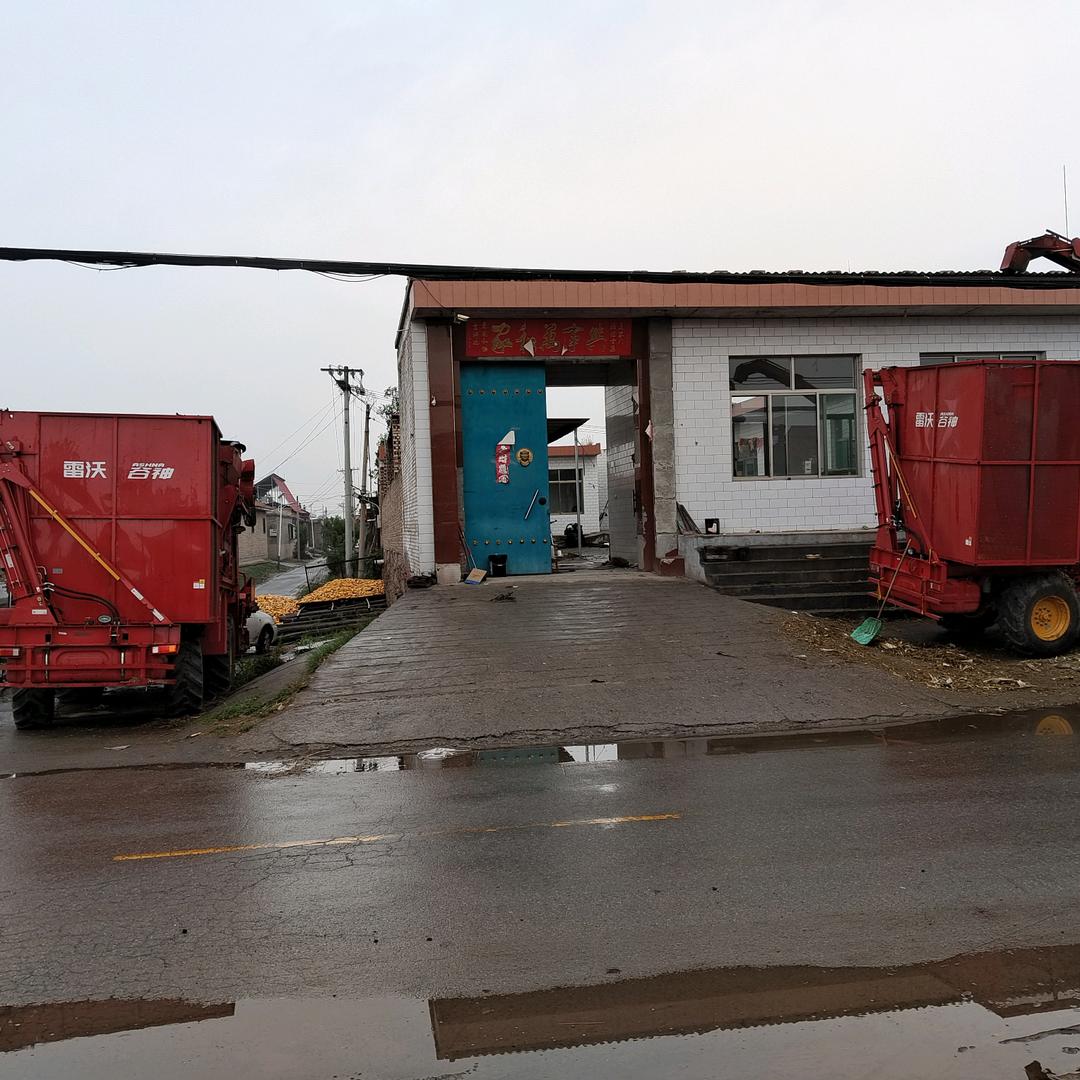 Cynicism°（玩世不恭?