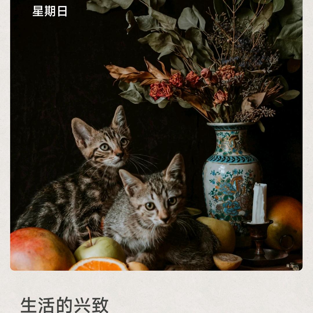 暖心贵人