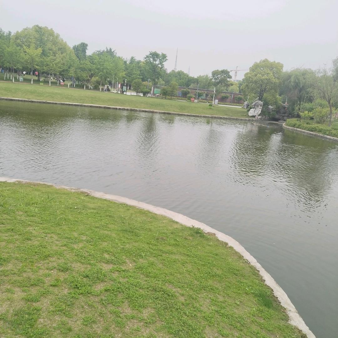 木子🌾🌻