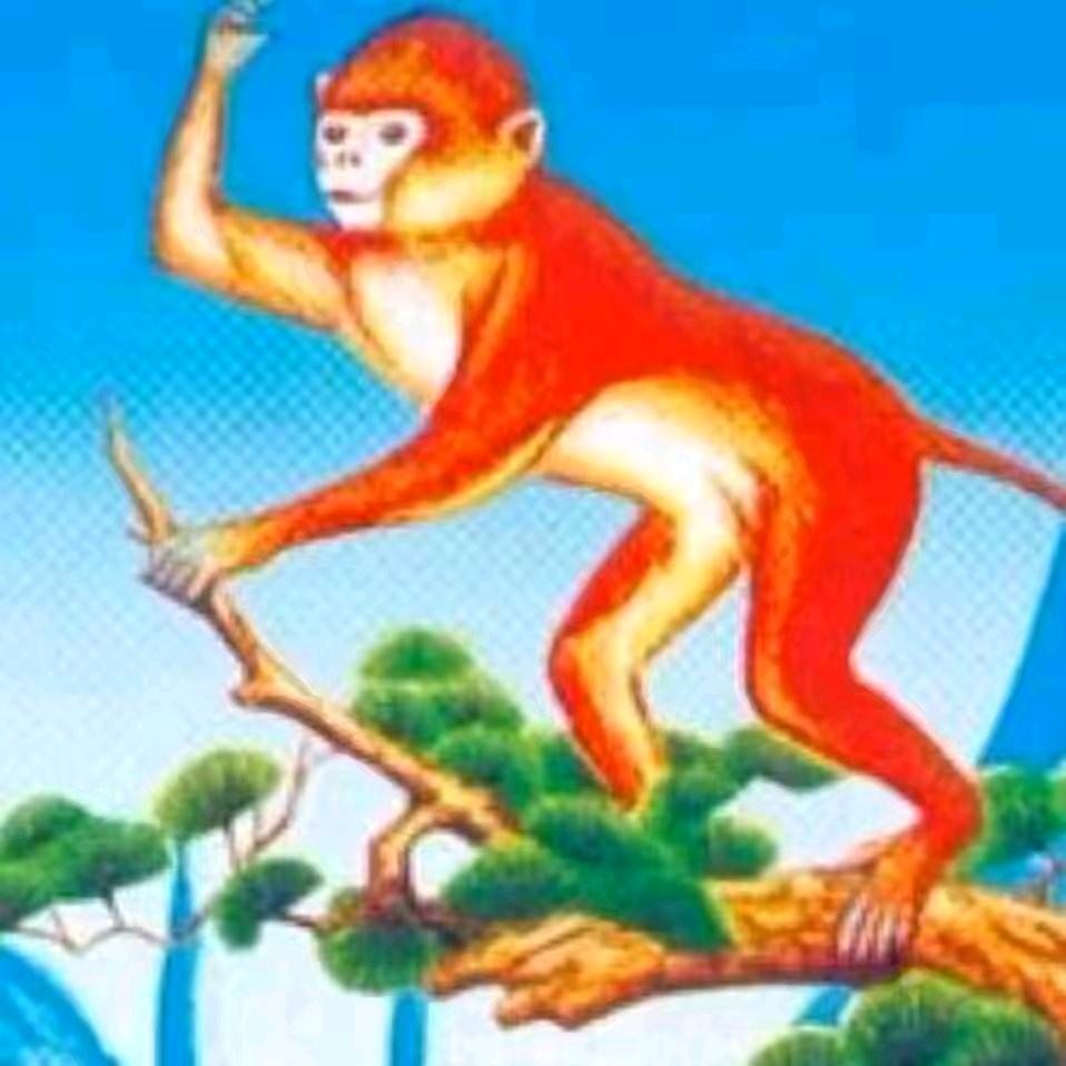 张晓峰，