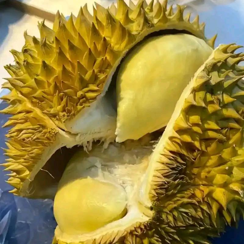 二疙旦水果