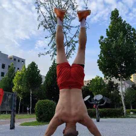 健身栓哥六六年的马