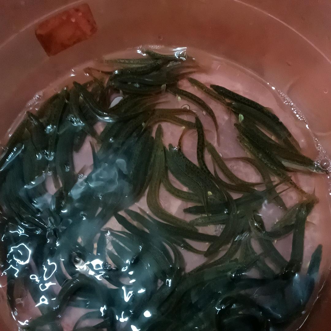 我的天哪