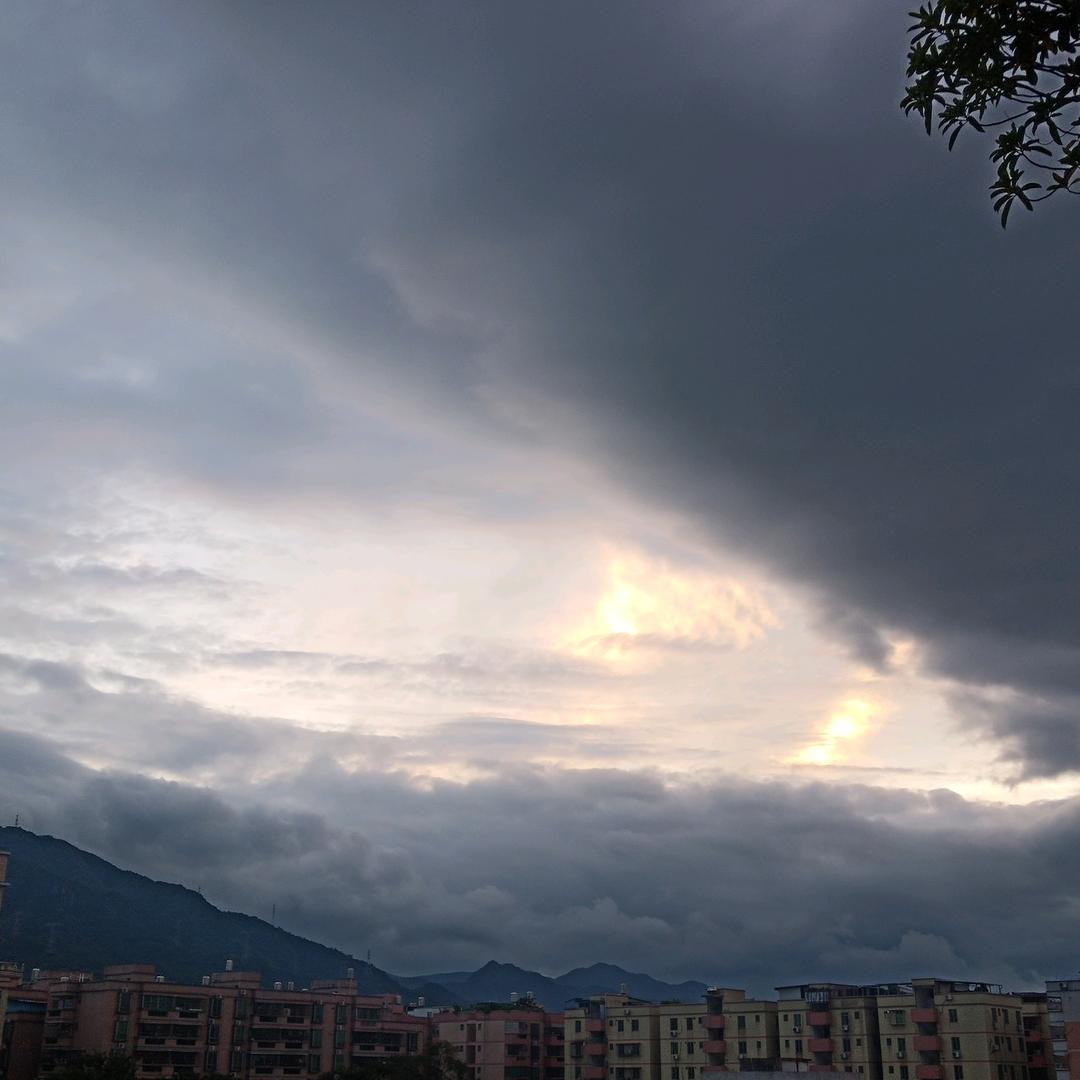 渡劫成功猫在清远混日子