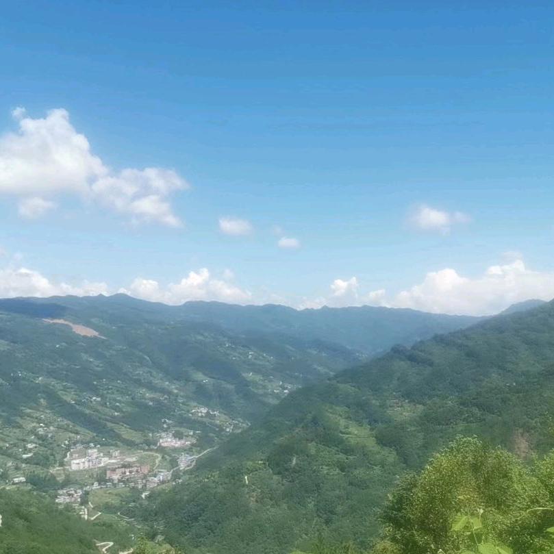 妈妈的味道依然随风飘