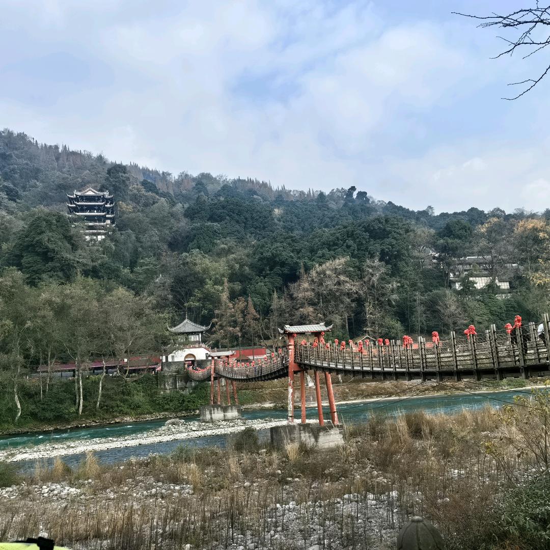 爱吃番薯的鱼