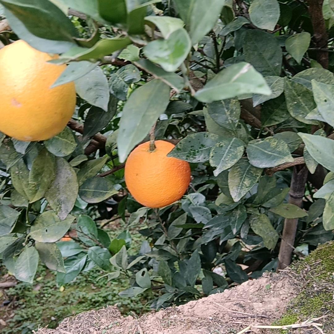 夺时请搬开
