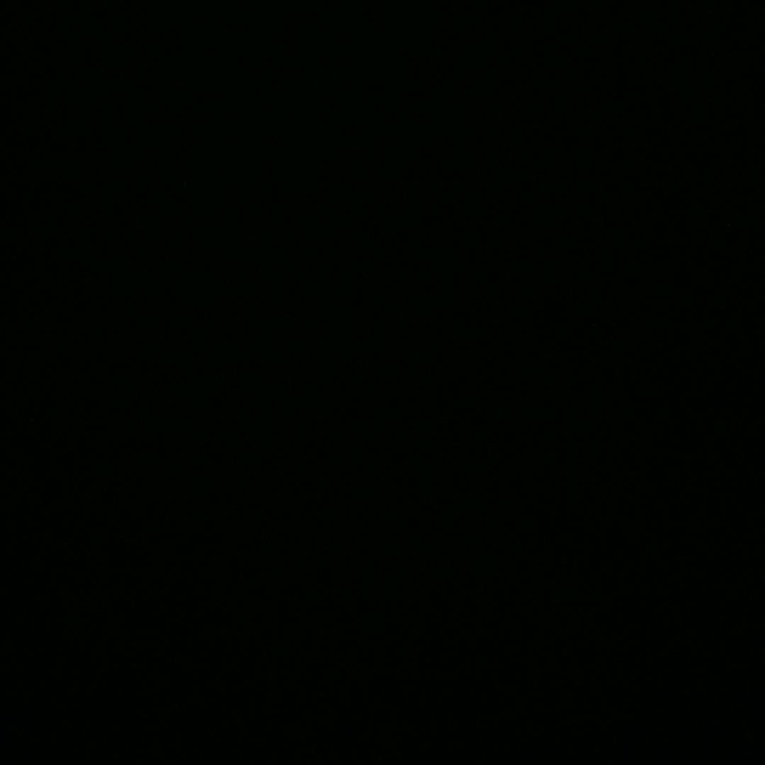 脑子被驴踹了的妥子