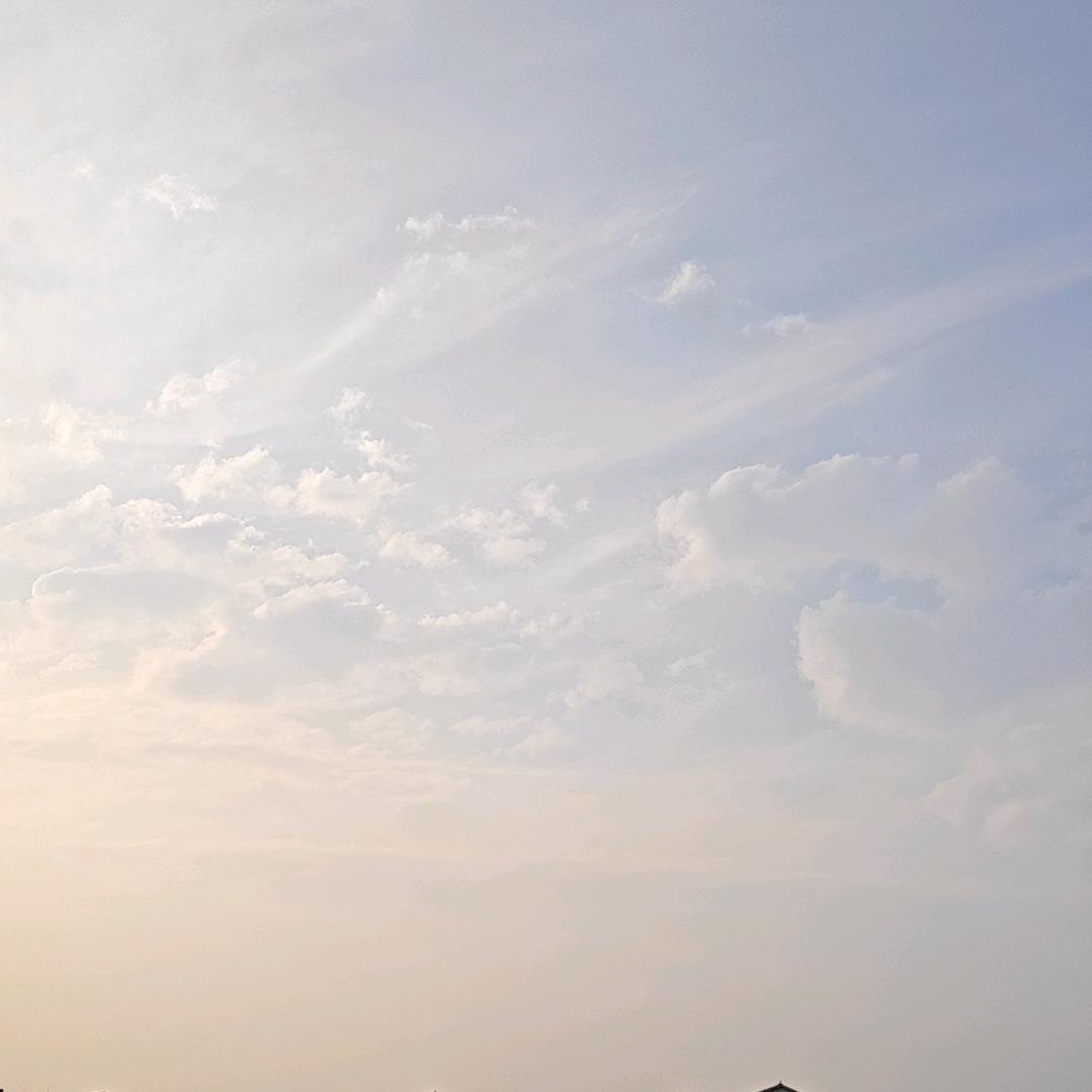 番茄乌梅（努力涨粉中）