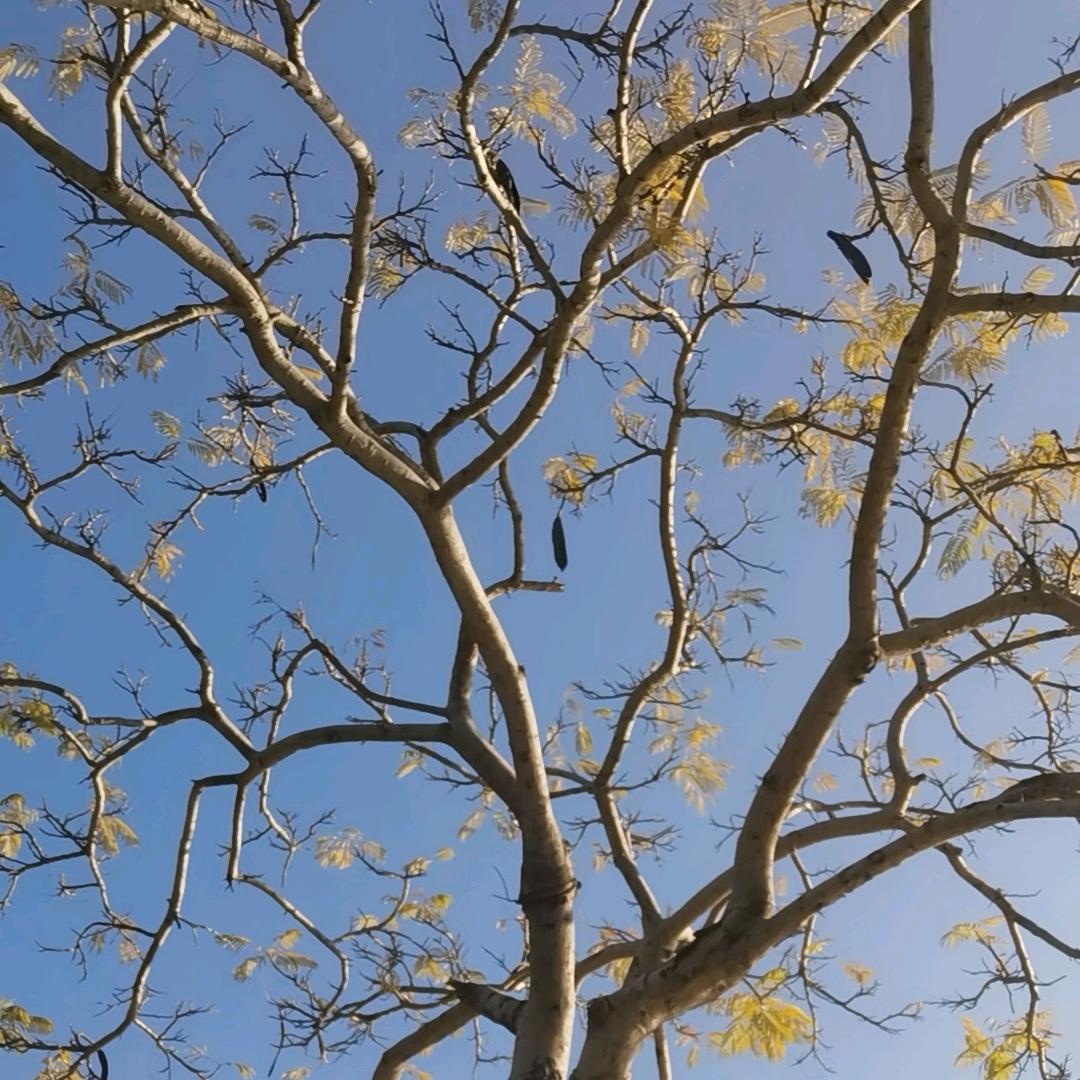 懒人秘诀-吃货的天堂