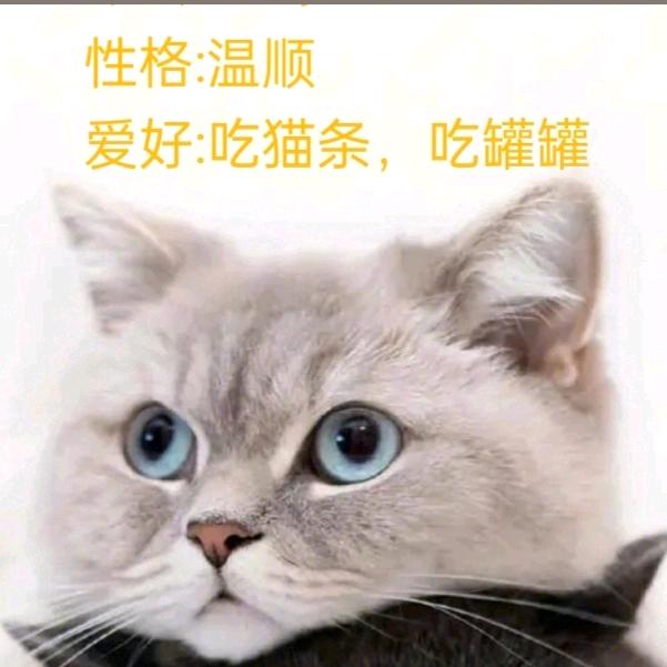 缘圆写字♡
