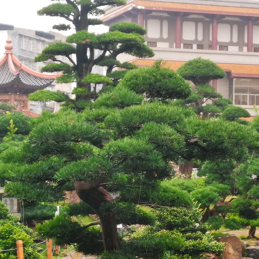 永发电子线生产加工