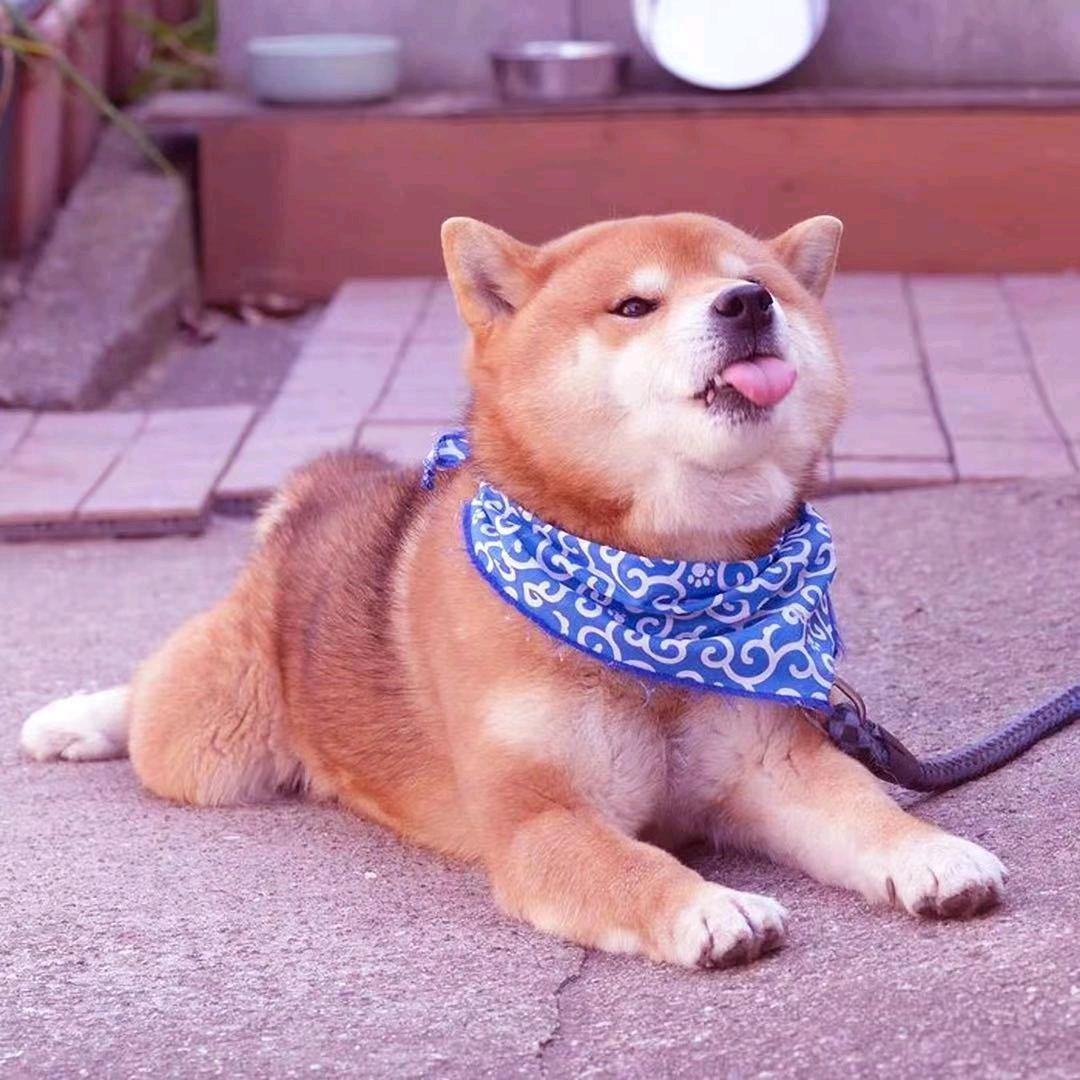 再吃一口头像