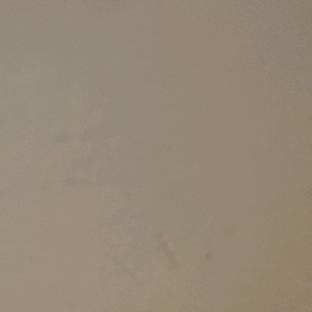 年年有鱼