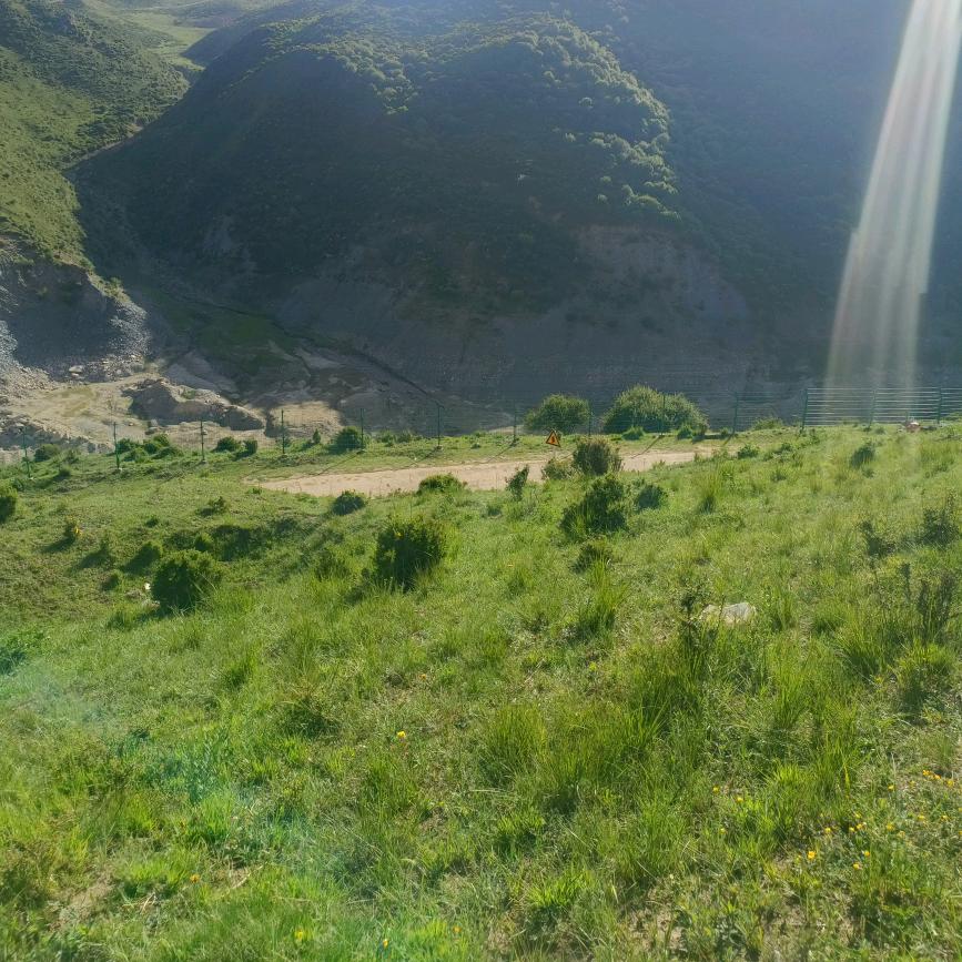 你不懂爷的寂寞