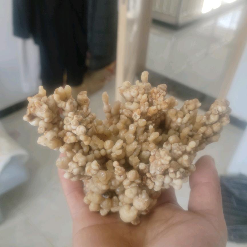 风力发电老帅哥
