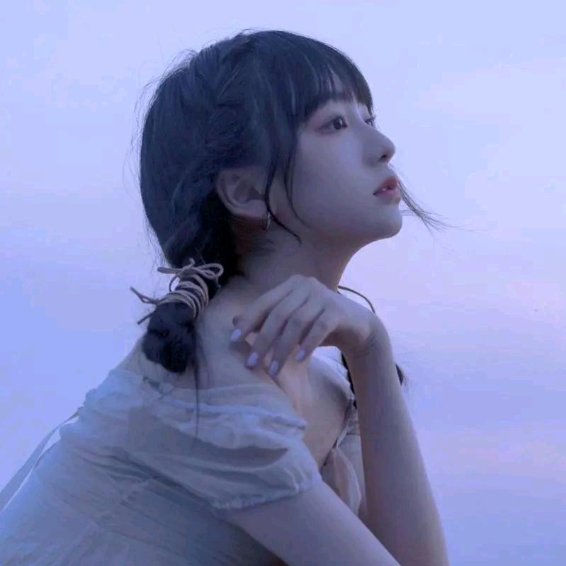飞小仙