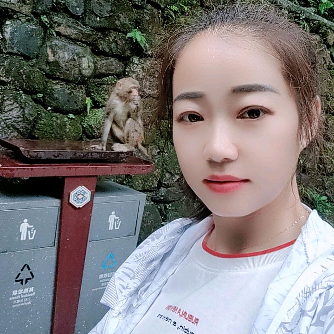 蝴蝶梦