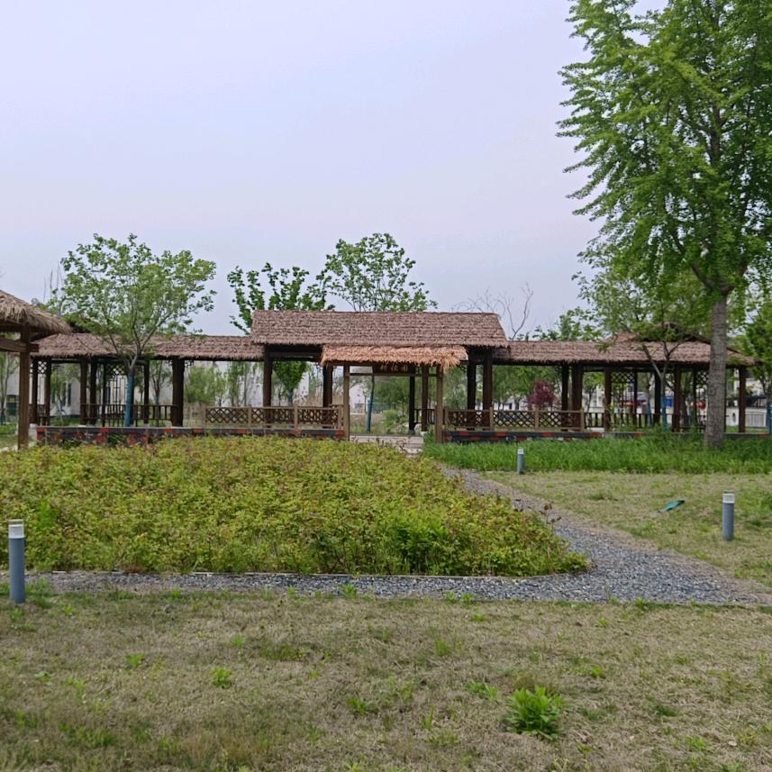 靳桥共享菜园