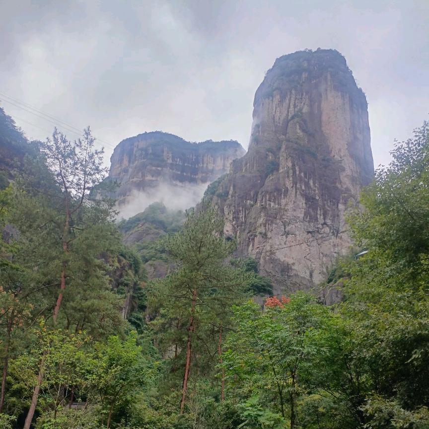 义乌市芩哑商务商行