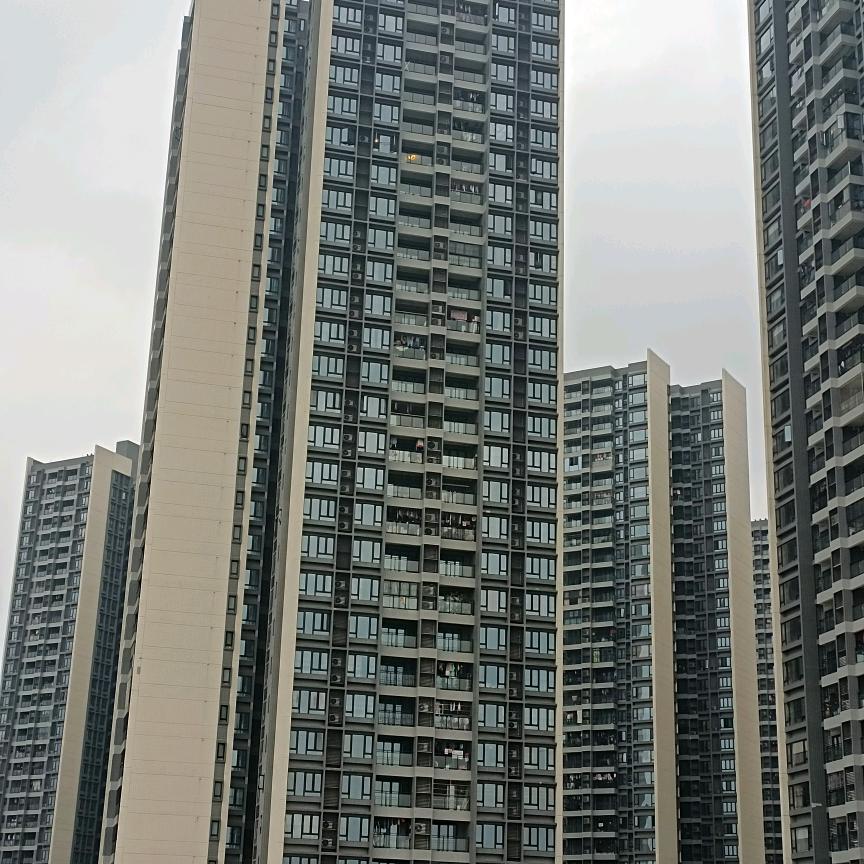 金融
