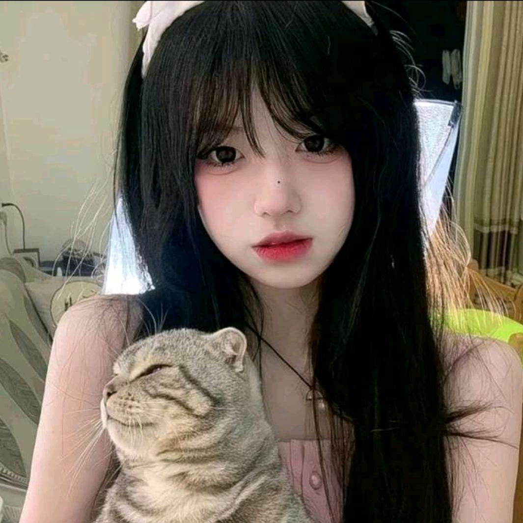 爱吃鱼的小猫