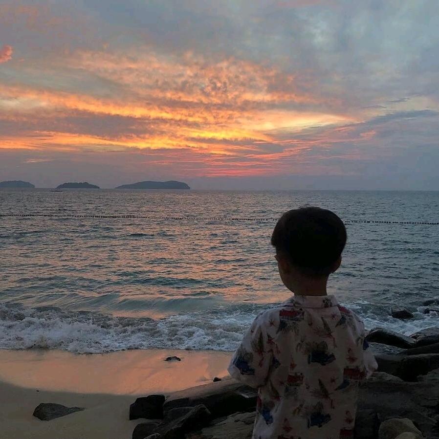 浮城无忆