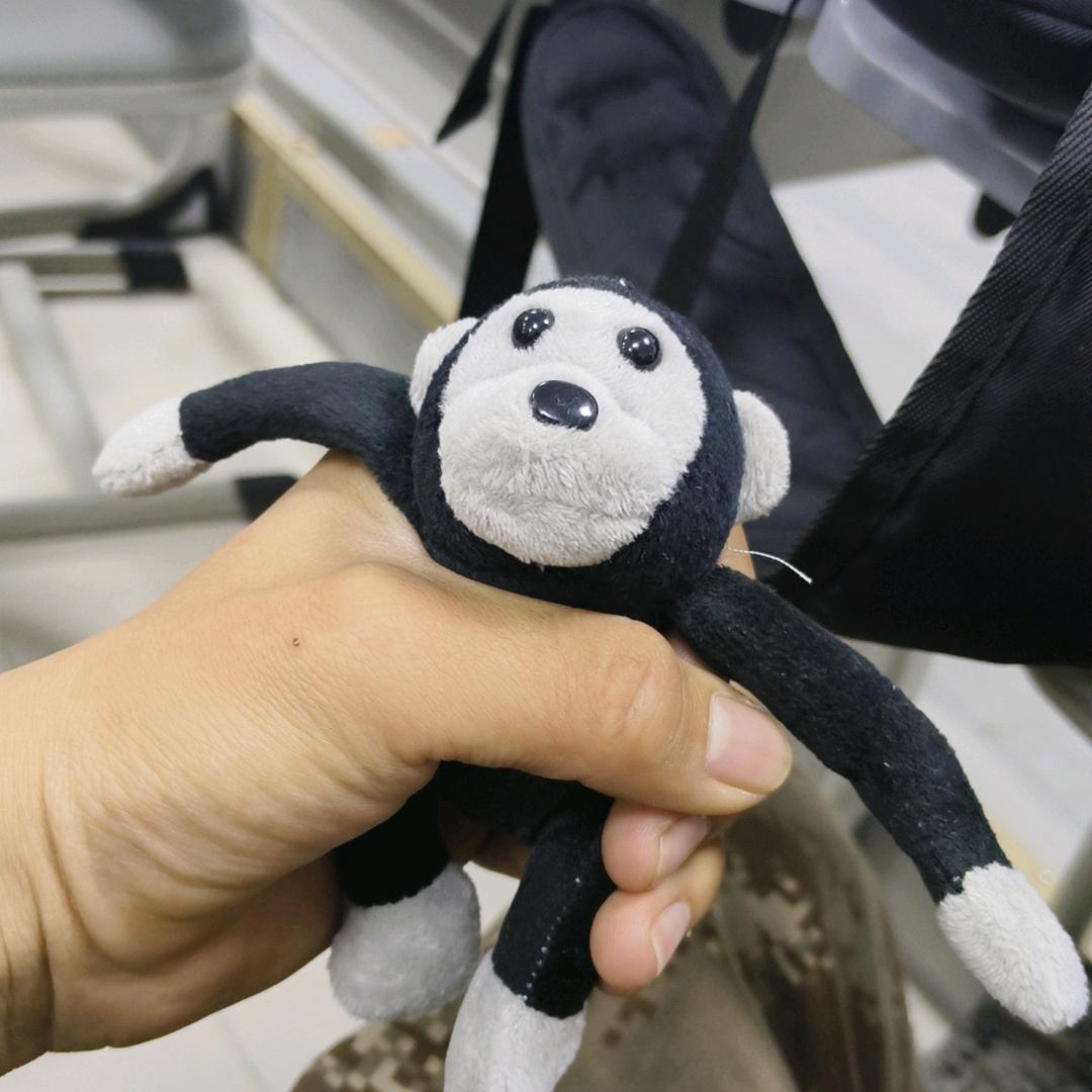 来自北方的鸟