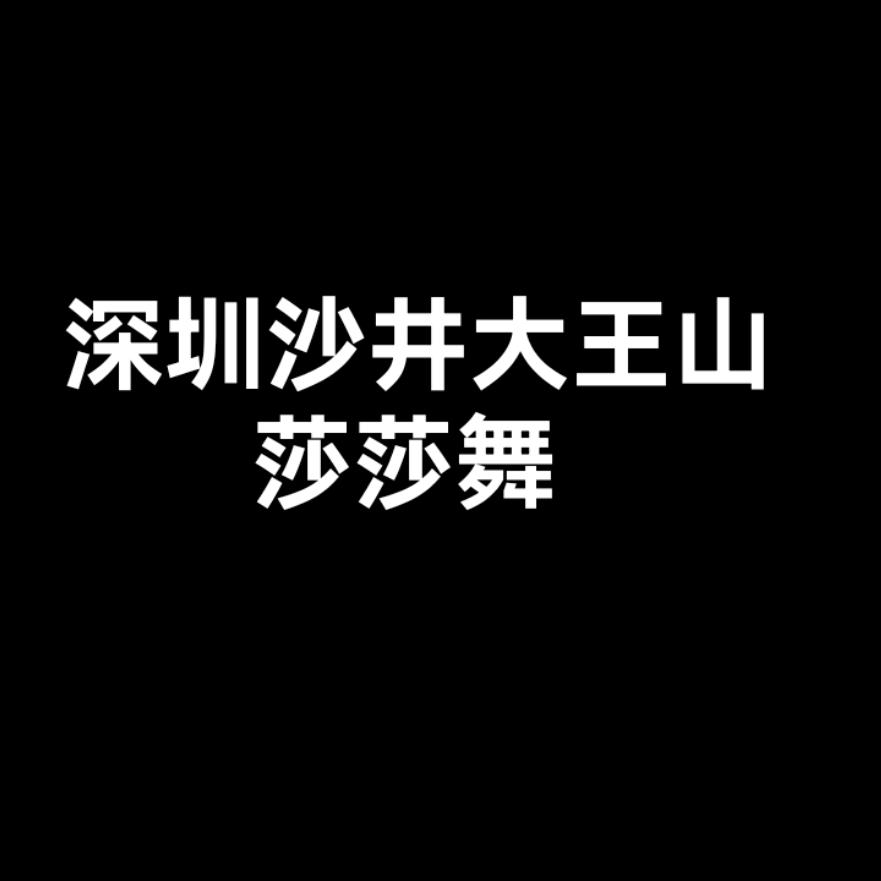 深圳沙井莎莎舞