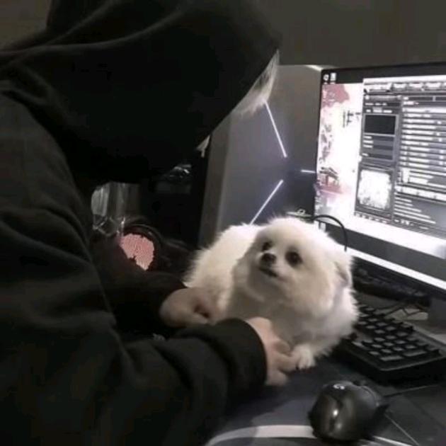 龘鱼鱼玉