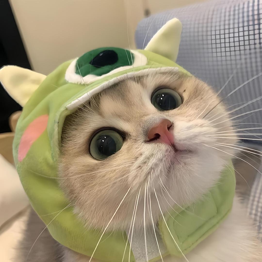 北冥有渝Y
