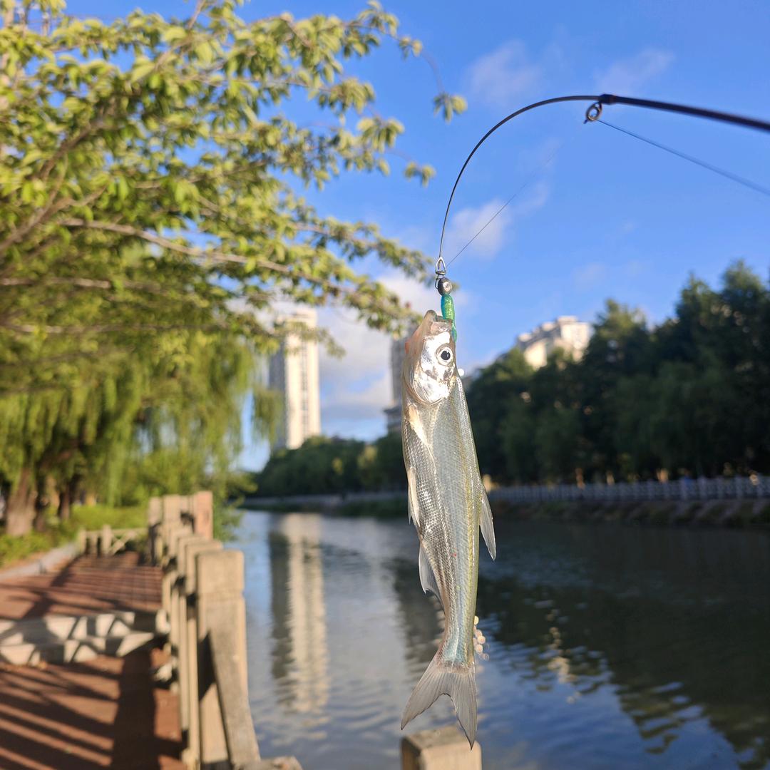 云淡风轻