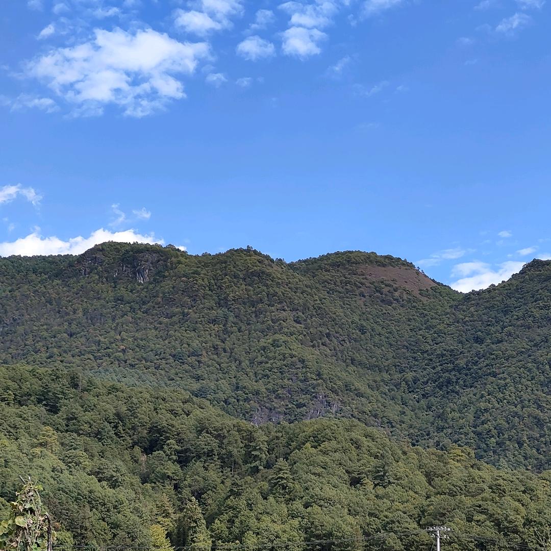 阿郑助农收山货